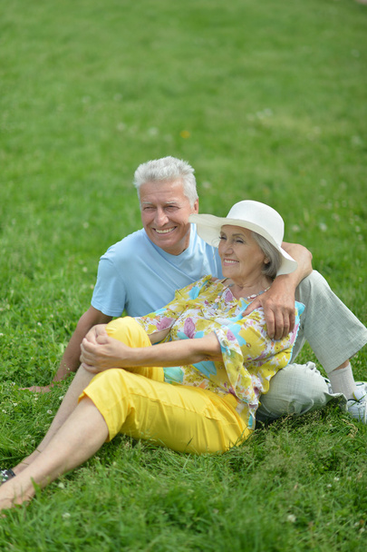 Beautiful old couple in field - Zdjęcie, obraz
