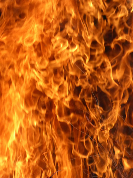 Fire, Flame - Photo, Image