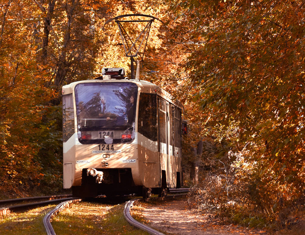 tranvía se mueve a través del parque de otoño - Foto, Imagen