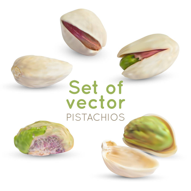 Vector Pistachio kernel. Realistic green nuts background. Pistachios nuts isolated on white. - Vector, Image