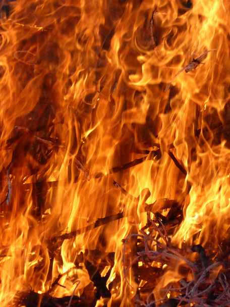 Огонь, пламя
 - Фото, изображение