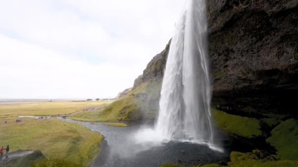 Wodospady Seljalandsfoss i góry w sezonie letnim, Islandia Spowolniony ruch - Materiał filmowy, wideo
