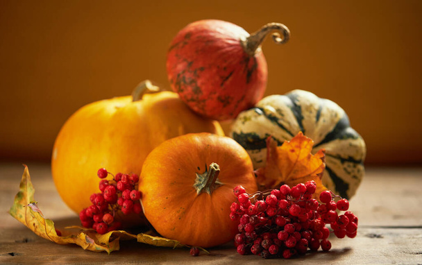 Autumn cozy composition of decorative pumpkins on a wooden table with a warm knitted scarf. Warm autumn, thanksgiving and halloween holiday concept - Zdjęcie, obraz