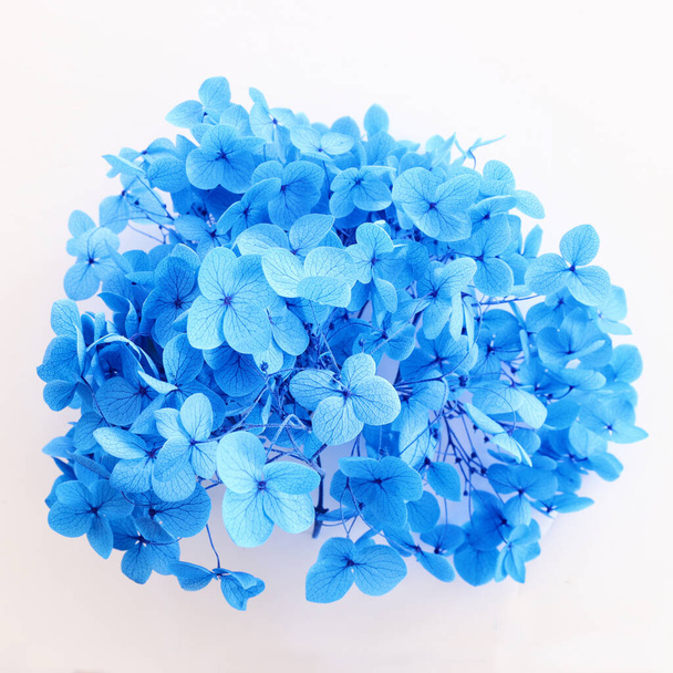 Creative image of pastel blue Hydrangea flowers on white background. Top view - Foto, afbeelding