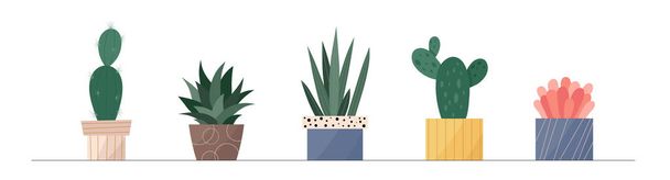 Moderní kolekce domácích roztomilých květináčů v květináčích balení ikon. Sada mini kaktusů a sukulentů v hrncích moderních ilustrací. Útulné vektorové kaktusové dekorační prvky v plochém švýcarském grafickém stylu. - Vektor, obrázek