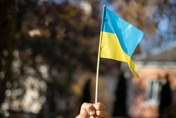 Маленький жовтий і синій прапор України в руках. - Фото, зображення