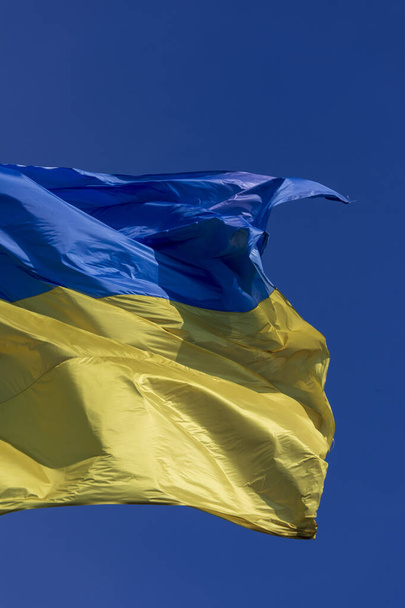 Státní modrá a žlutá vlajka Ukrajiny v parku na stožáru proti obloze - Fotografie, Obrázek