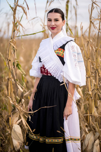 Slovak folklore. Slovakian folk girl. - Photo, Image