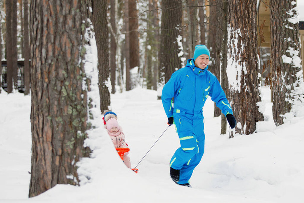 Apa szánkók és húzza a család egy szánkó lovagolni a téli havas tűlevelű erdőben. Meleg kék, rózsaszín és piros kabát, kötött sapka. Családi boldogság, értékek és hagyományok. Szelektív fókusz. - Fotó, kép