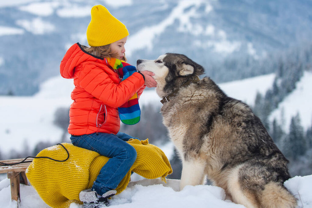 Boy sledding, enjoying sleigh ride. Child sitting on the sleigh with siberian husky dog. Children play with snow. Winter vacation concept. - Foto, Imagen