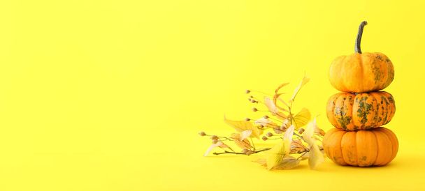 Calabazas maduras con hojas de otoño sobre fondo amarillo con espacio para texto - Foto, imagen