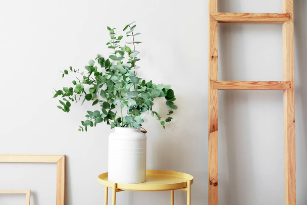 Vase with green eucalyptus branches on table near light wall - 写真・画像