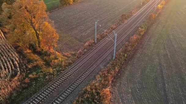Widok z lotu ptaka na tory kolejowe między polami rolnymi - Materiał filmowy, wideo