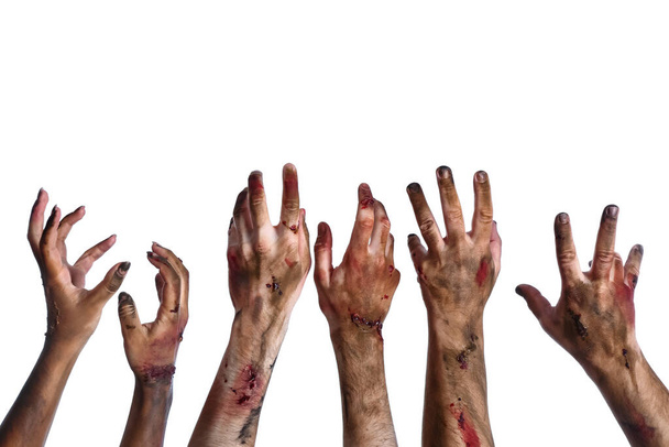 Mani di zombie su sfondo bianco - Foto, immagini