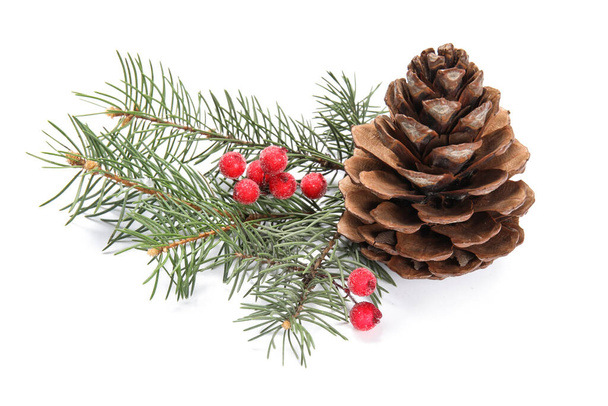 branches de sapin de Noël et cône de pin sur fond blanc - Photo, image