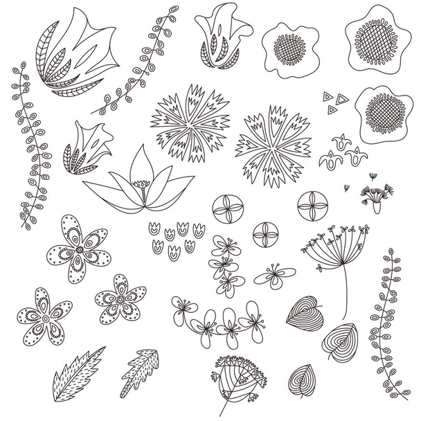 Hand drawn flowers set. Doodle line style. - Vector, Image