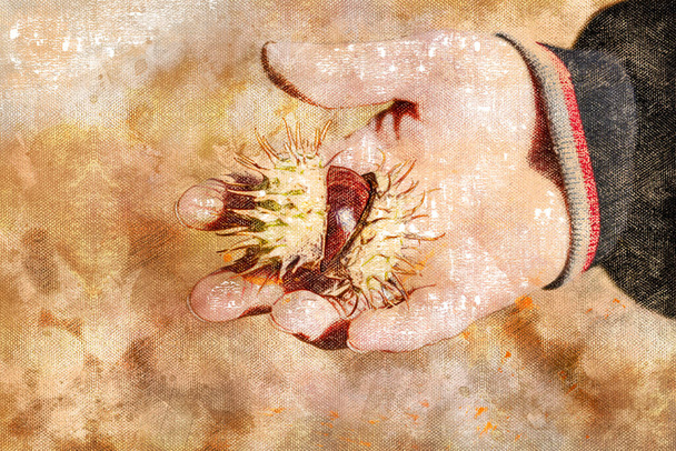 Žena držící v ruce zralé plody koňského kaštanu nebo Aescula. Hnědá kaštanová semínka v pichlavé skořápce. Podzim, den. Digitální akvarel. - Fotografie, Obrázek