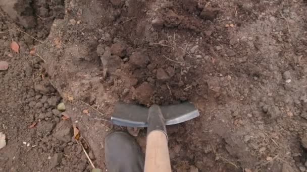 Σκάψιμο στερεάς εδάφους αργή κίνηση - Πλάνα, βίντεο
