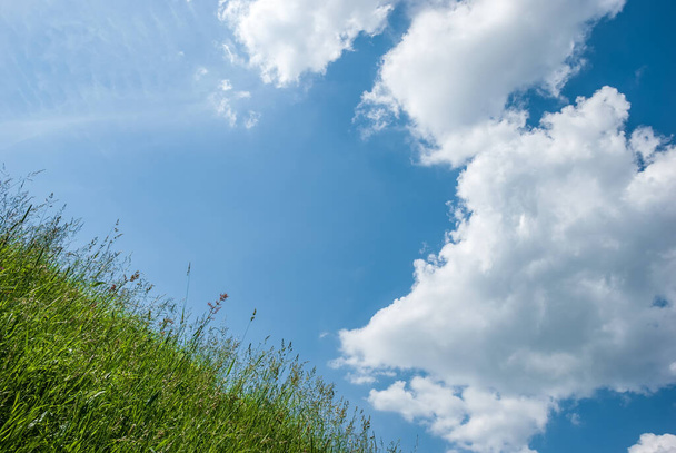 A hill with green grass and a blue sky with clouds. - Photo, image