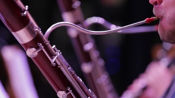Fafúvós hangszerek közelről.A fagotton játszó zenész ajkai. - Felvétel, videó