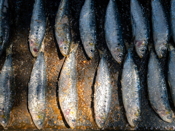 Gegrillte Sardinen auf einem Grillteller. Zubereitete spanische Sardellen. Persönlicher Koch kocht Fisch in einer offenen Restaurantküche. Traditionelle Meeresfrüchte in Spanien. - Foto, Bild