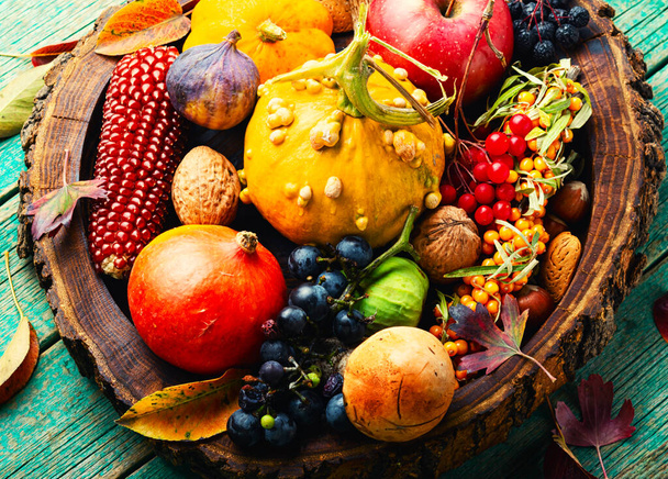 Large set of colorful autumn fruits, vegetables and berries - Foto, Bild