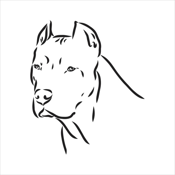 Desenho de esboço vetorial pitbull latindo pit bull terrier cão vetor - Vetor, Imagem