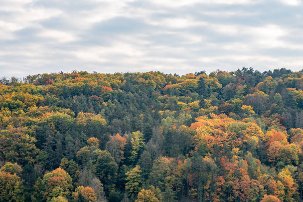 A scenic view of a forest with lush nature during autumn on a cloudy sky background - Fotó, kép