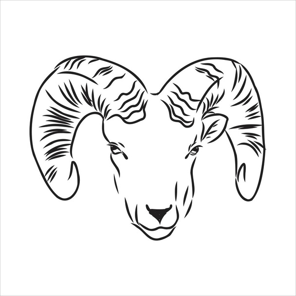 Große Ziegenhörner von hinten verschraubt, Skizzenvektorzeichnung im grafischen Stil auf weißem Hintergrund - Vektor, Bild