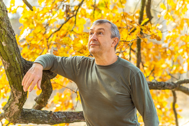 Mature European older man at nature, philosophical portrait, at autumn park - Photo, Image