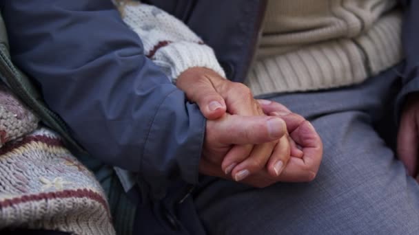 Ηλικιωμένο ζευγάρι κρατιέται χέρι-χέρι ενώ κάθεται έξω. Κλείσιμο φυσικού φωτός - Πλάνα, βίντεο