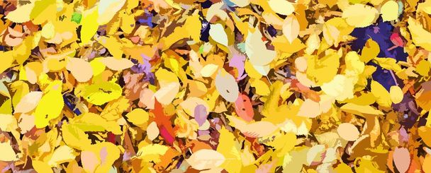 Yellow leaves on the ground in autumn - Vector, Image