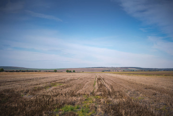 Красивый осенний сельский пейзаж, поле после сбора урожая, вспаханное поле и голубое небо. Высокое качество фото - Фото, изображение
