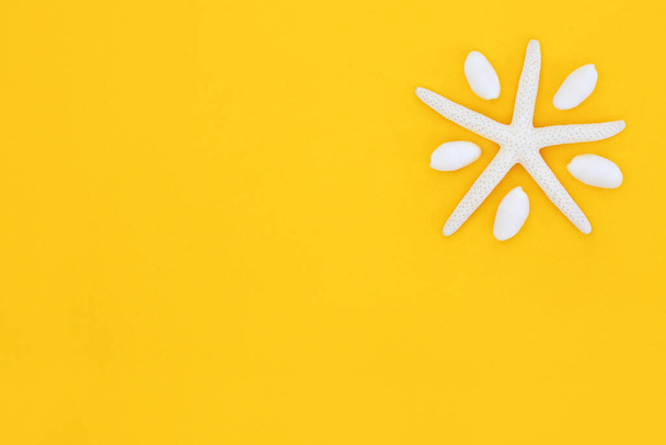Résumé étoile de mer coquille symbole soleil sur fond jaune. Minimal temps d'été et vacances Voyage concept sur fond jaune. Espace de copie pour le texte. - Photo, image