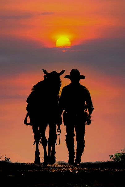 La silhouette del cowboy e il tramonto - Foto, immagini