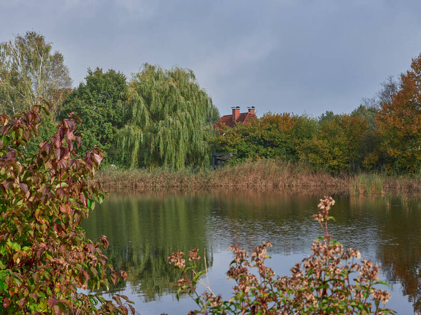 rybník v lese s domem - Fotografie, Obrázek
