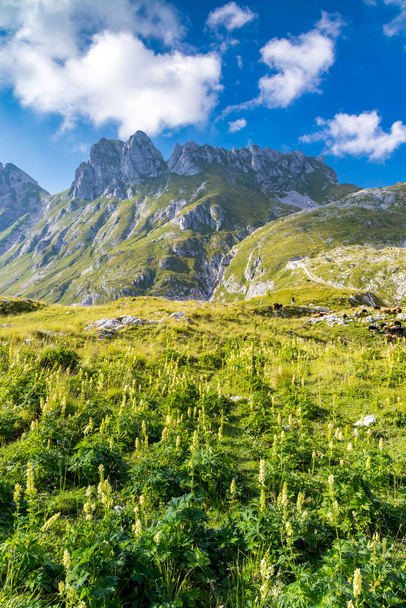 Montanha de Mangart, parque nacional de Triglav, Julian Alps, Eslovénia - Foto, Imagem