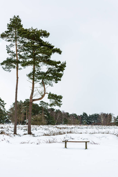 Красивый пейзаж открытой Британской языческой страны с пустой скамейкой, покрытой снегом во время редкого сильного снегопада - Фото, изображение