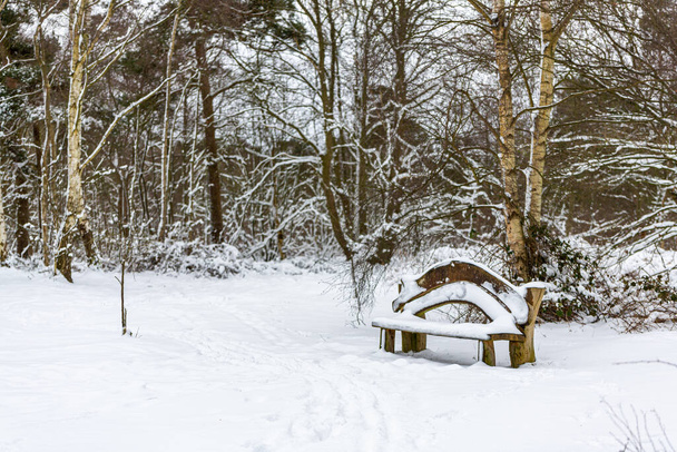 Прекрасний краєвид відкритих британських лісів з порожнім сніговим покриттям лавка під час рідкісної сильної снігової бурі. - Фото, зображення