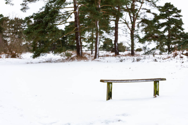 A beautiful landscape view of open British woodland with a empty snow covered bench during a rare heavy snowstorm - Photo, Image