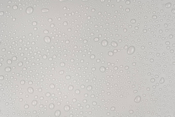 Water drops on white background texture. backdrop glass covered with drops of water. gray bubbles in water - Photo, Image