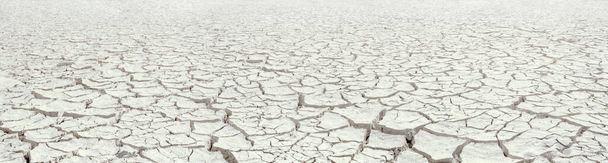 Dried white clay panorama, natural cracked texture of dry lake bed with perspective and deep focus - Photo, Image