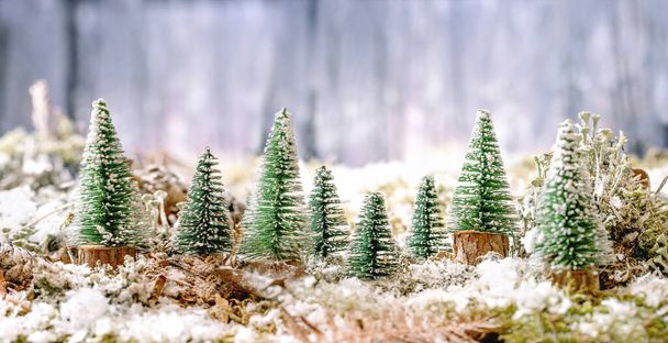 Christmas or New Year greeting card with group of decorative Christmas trees on snow covered moss with winter forest at background. Xmas holidays atmosphere. Banner size - 写真・画像