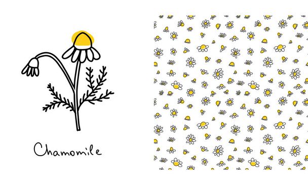 Seamless pattern with doodle black daisies on a white background. Chamomile linear ink wallpaper with flower element - Vector, Image