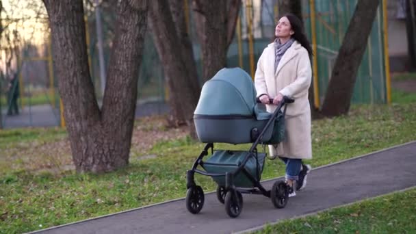 Madre con cochecito de bebé en un paseo por el parque en otoño - Imágenes, Vídeo