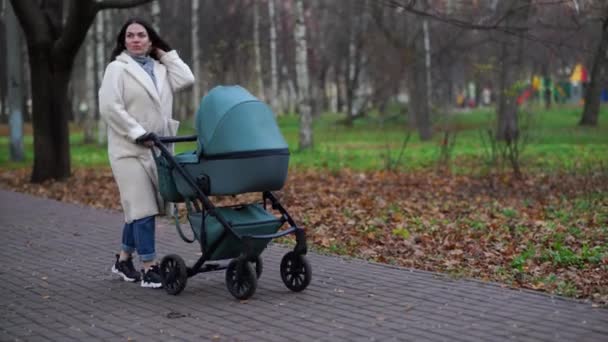 Μητέρα με καροτσάκι μωρού σε μια βόλτα στο πάρκο το φθινόπωρο - Πλάνα, βίντεο