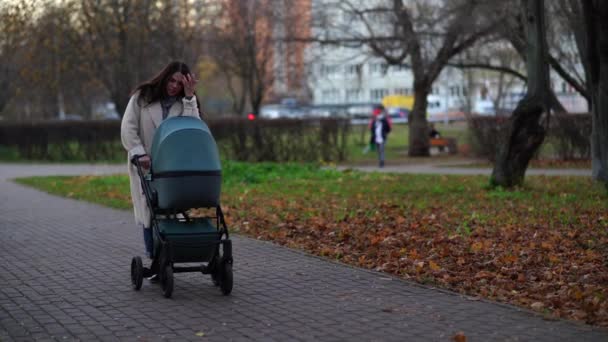 Mãe com carrinho de bebê em um passeio no parque no outono - Filmagem, Vídeo