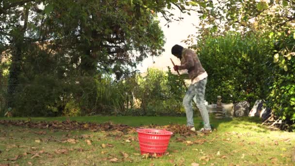 Vrouw harkt haar tuin van bladeren in de late namiddag in de herfst. Aflevering 1. - Video