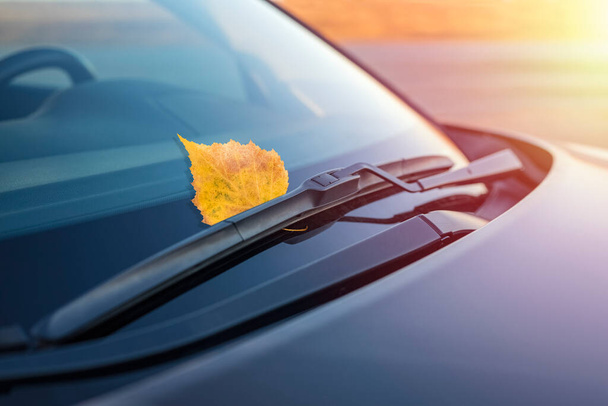 Autumn leaf on the windshield of a car under the brush, against the backdrop of the soft light of the sun at sunset. The concept of cleaning products, polishing, anti-rain. Close-up - Fotografie, Obrázek