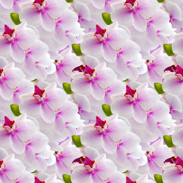 Beautiful background of orchid flowers. Seamless pattern for design of clothes, printing on paper for packaging - Φωτογραφία, εικόνα